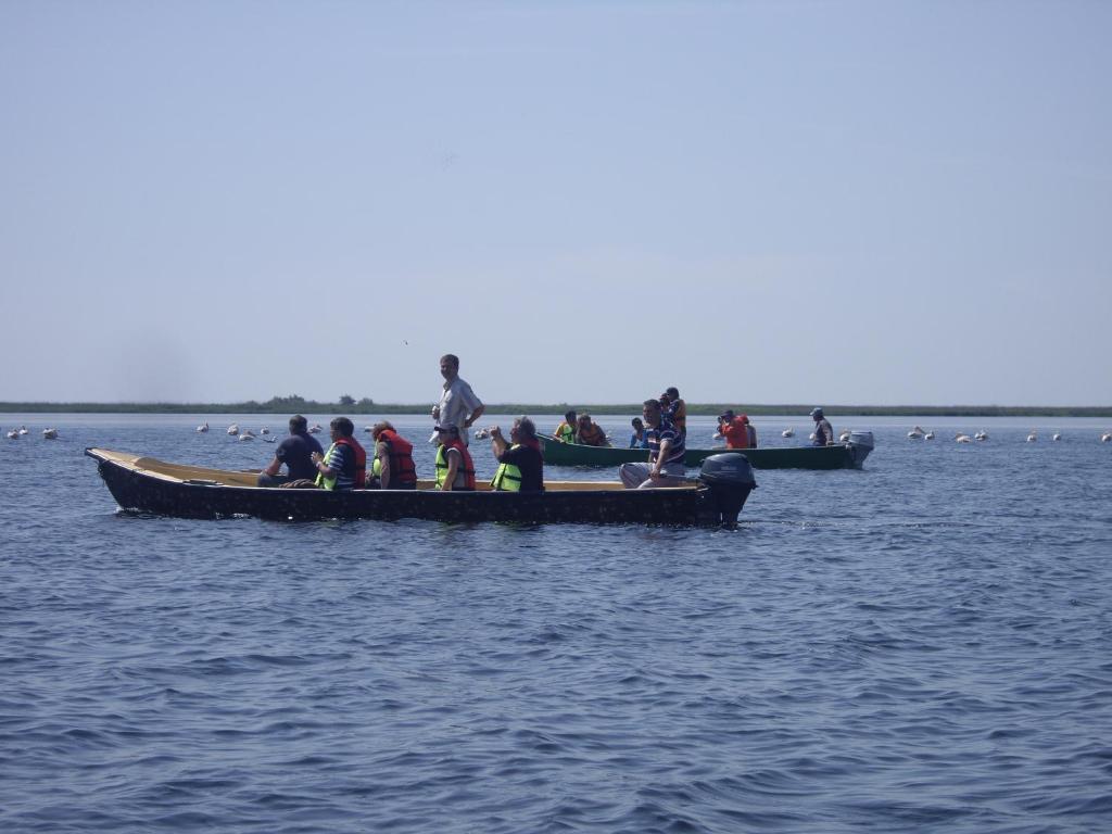 Vila Alga Hotel Sulina Luaran gambar